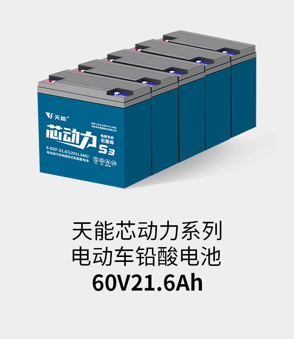 金沙娱场城app下载电池60v20ah