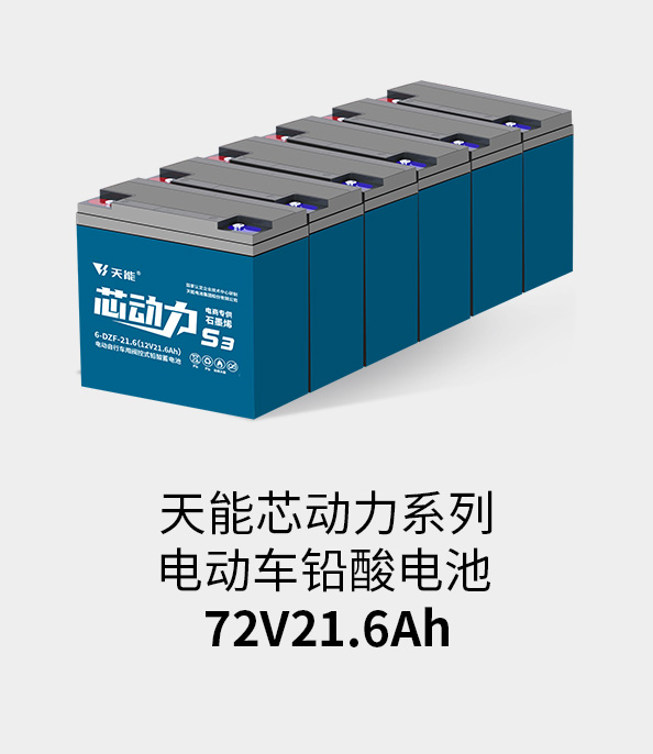 金沙娱场城app下载电池72v20ah