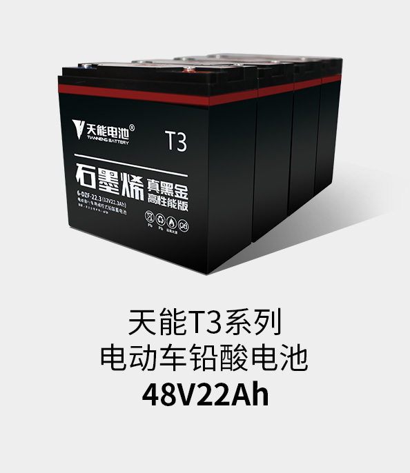 金沙娱场城app下载T3系列48v22ah