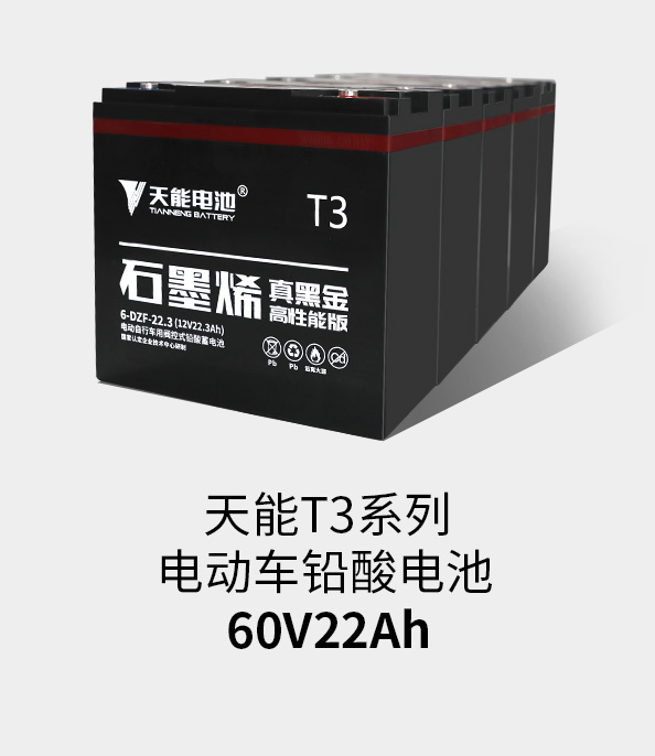 金沙娱场城app下载T3系列60v22ah